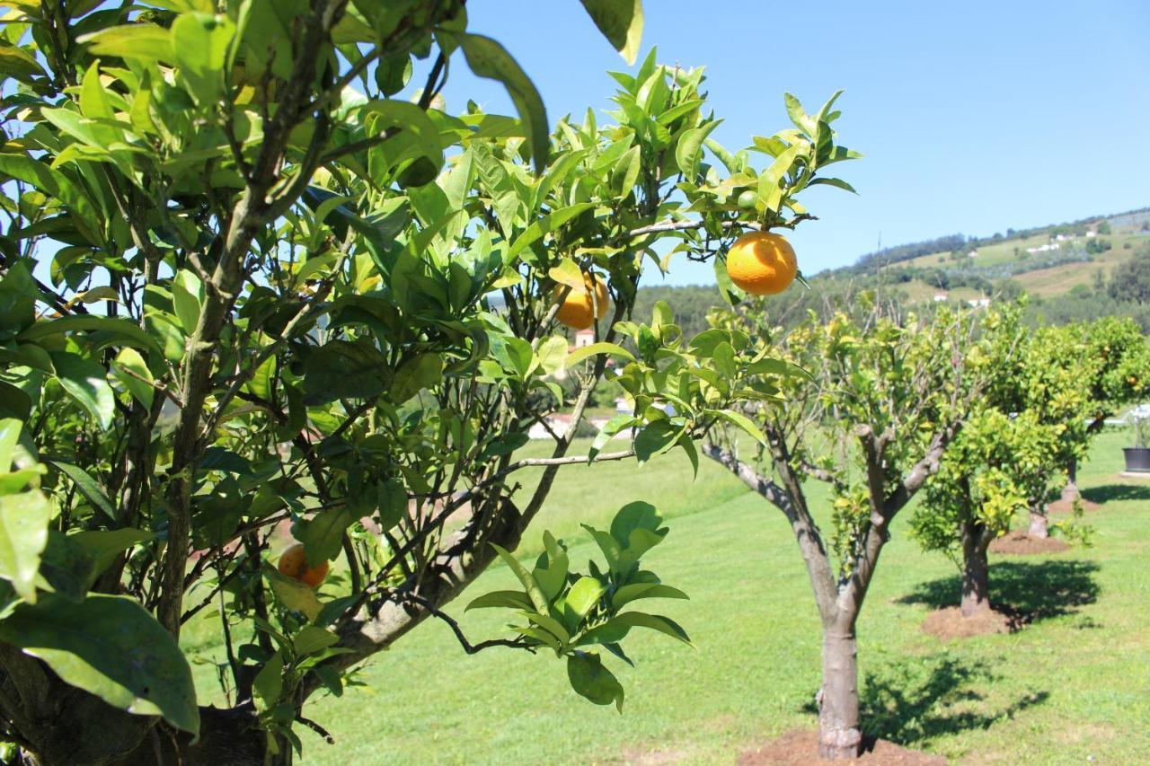 Posada El Campo Secadura Kültér fotó
